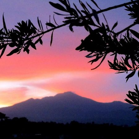 La Mia Diletta Oasi Bed and Breakfast San Gregorio di Catania Esterno foto