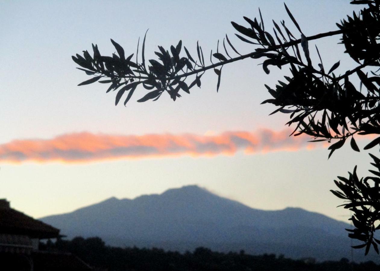 La Mia Diletta Oasi Bed and Breakfast San Gregorio di Catania Esterno foto