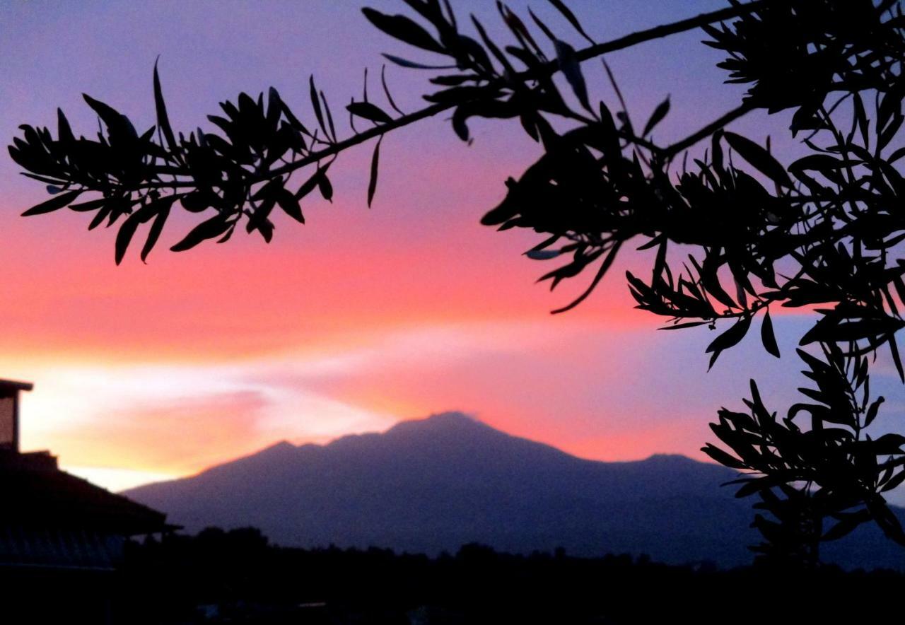 La Mia Diletta Oasi Bed and Breakfast San Gregorio di Catania Esterno foto